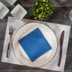 ΧΑΡΤΟΠΕΤΣΕΤΕΣ ΜΙΚΡΟΓΚΟΦΡΕ 30×30 (napkins micro embossed) - Image 7
